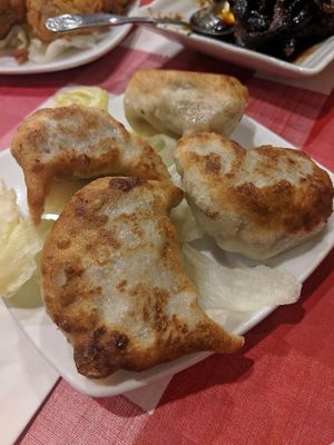 Pan fried dumplings at Yuan Fu in Rockville