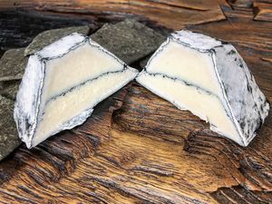 The Uncreamery Soft Ripened Cashew Cheese Pyramid with Ash at The Uncreamery in San Francisco