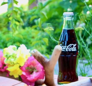 Coca-Cola  at Suggoi Sports Cafe in Kochi