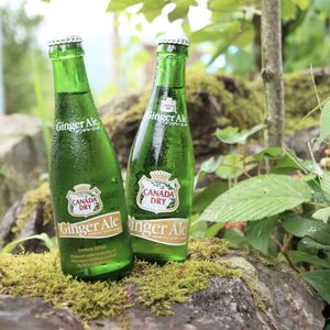 Ginger Ale at Suggoi Sports Cafe in Kochi