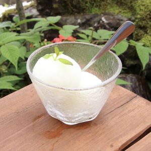 Yuzu sherbet (vegan) at Suggoi Sports Cafe in Kochi