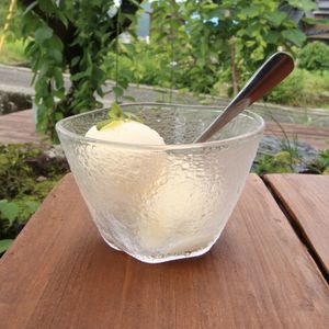 Ice Crin (vegetarian) at Suggoi Sports Cafe in Kochi