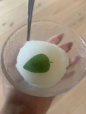 Amazing Yuzu ice!  at Suggoi Sports Cafe in Kochi