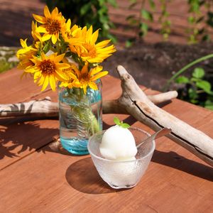 My favourite ice cream... Yuzu Sherbert! The taste of summer :) at Suggoi Sports Cafe in Kochi
