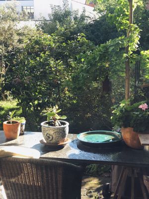 Gosha’s garden 💚 at Gosha Nagashima Studiogosha of Fine Art in Beelitz-heilstaetten