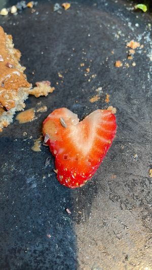   at Beans & Nuts in Bern