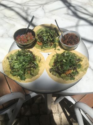 Top at Nazari in Budens