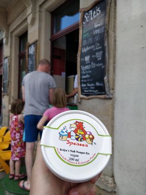 A cup with vegan ice cream at Café Komisch in Dresden