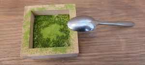 Matcha and chia pudding. at Mori Cafe in Paris