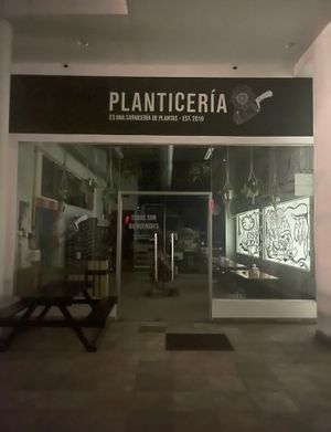 Unfortunately closed ☹ at Planticeria in Panama City