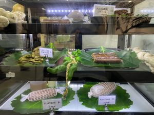 “Meat” case  at Planticeria in Panama City