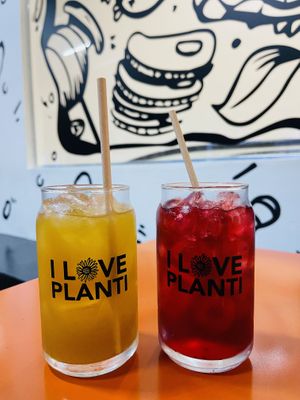   at Planticeria in Panama City