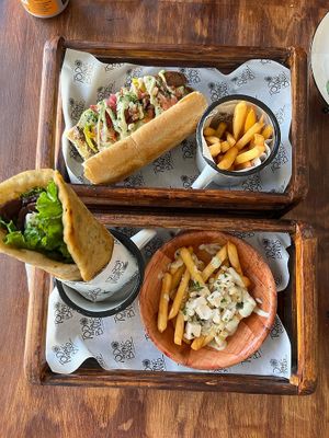 PlantiGyro y PlantiPapi at Planticeria in Panama City