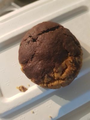 Brookie at Planticeria in Panama City