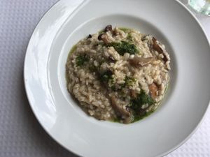 Mushroom risotto with pesto at Damas in Lisbon