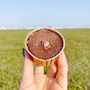 Citrus classic cupcakes  at Roa The Midnight Cake in West Singapore