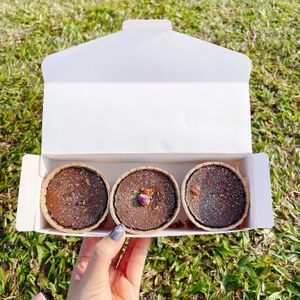 Citrus cupcakes for 18.10 sgd via grab food app- grab kitchen  at Roa The Midnight Cake in West Singapore