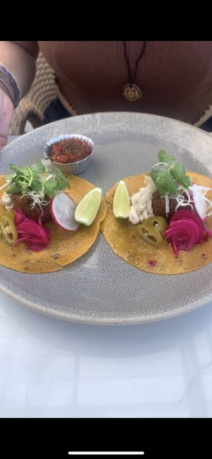Falafel tacos   at Rustic and Blue in Phuket