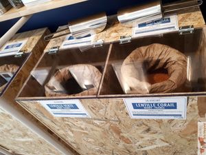 Distributor at La Station in Paris