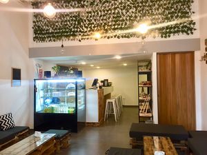 Interior  at Sendyani Vegan Cafe in Jounieh