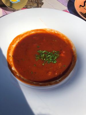 Tomato soup with zuchini and basilicum.  at Stelleplas in Heinkenszand