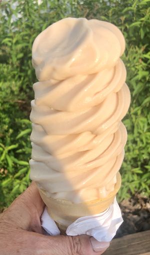 Almond milk maple creemee at Duke's Creemees in Milton