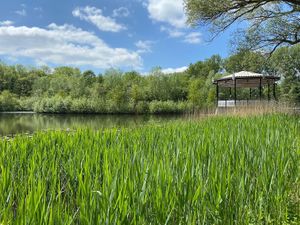 View from the restaurant at Buitenplaats De Houtmaat in Hengelo