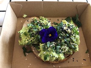 Avo on sour dough at Papaya in Lennox Head