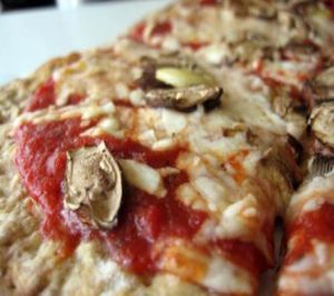 pizza fusion pizza by brittany at Pizza Fusion in Fort Myers