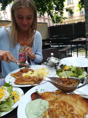 🌱Schnitzel + extra Zwiebeln  at Zum Eichkatzerl in Frankfurt