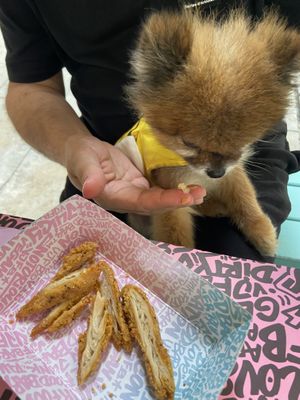 Fake chicken to our dog 😍  at Vegan Junk Food Bar - El Born in Barcelona