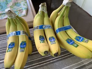 Yes! We have a banana. at Fresh Thyme Farmers Market in Bloomington