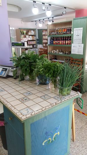 fresh organic aromatics at Biokyklos in Limassol