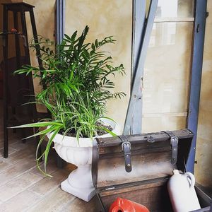 Inside 3 at Laboratorio - Food. Drink. Green Cosmetics in Jesi