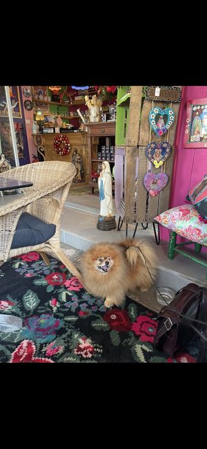   at La Bohème in Saintes-maries-de-la-mer