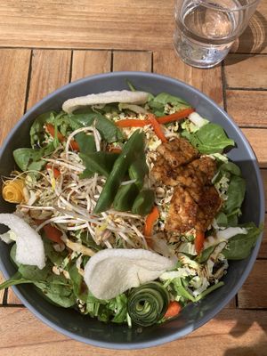 Indo Gado Gado salad at Gostilna Vida in Ljubljana