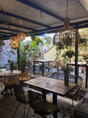 magic garden in the back at Gostilna Vida in Ljubljana