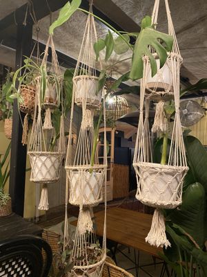 A part of the cute hidden gardenn  at Gostilna Vida in Ljubljana