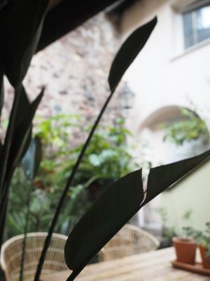 Beautiful outdoor seating at Gostilna Vida in Ljubljana