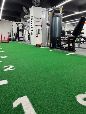 Updated  at Vegan Fitness Premier in New Territories