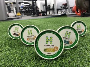 純素雪糕  at Vegan Fitness Premier in New Territories