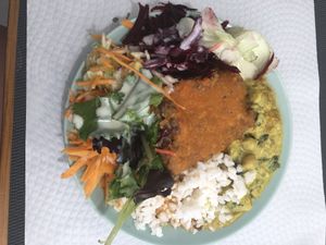 Plate of the day  at Vegetarianus in Portimao