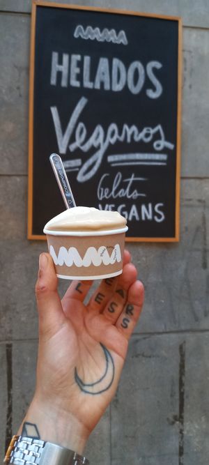 Small terrine: horchata and salted caramel with peanut  at AMMA Gelato in Barcelona
