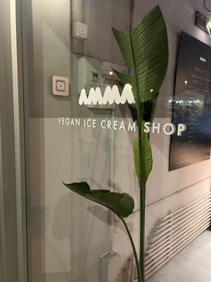 Logo  at AMMA Gelato in Barcelona