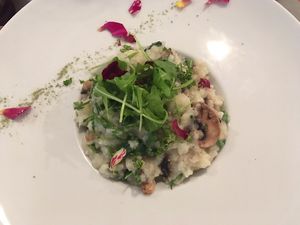 Risotto of the day with mushroom at Un Piano dans la Théière in La Rochelle