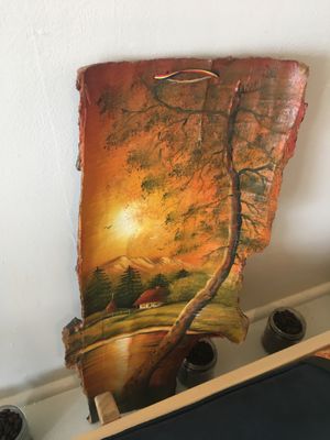 Bark art at Gypsy Place in Cambridge