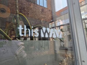  at WAY Specialty Coffee Roasters in Ghent