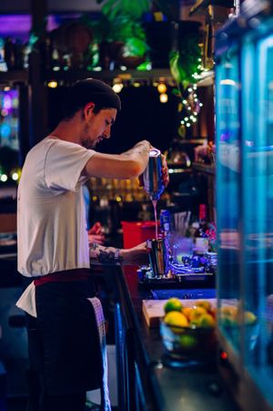 Woof! Dunedin at Woof! in Dunedin