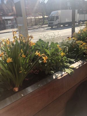 Beautiful place   at Beetschwester in Muenster