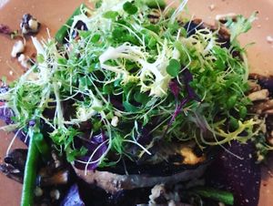   at The Punter in Oxford